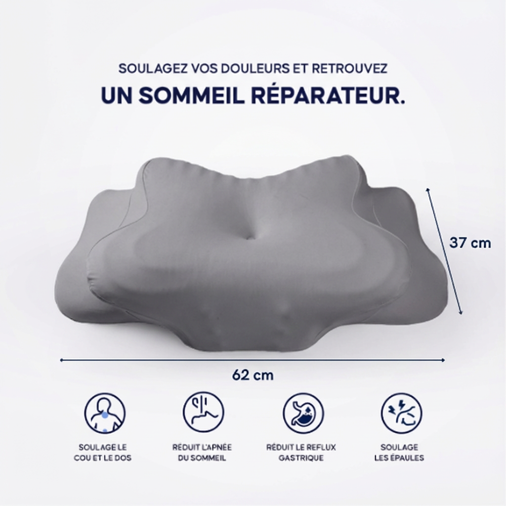 Soya Pillow 3.0
